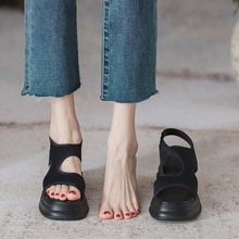 2025¿rкs@ߏm¶ֺɸŮʿ⴩כЬ