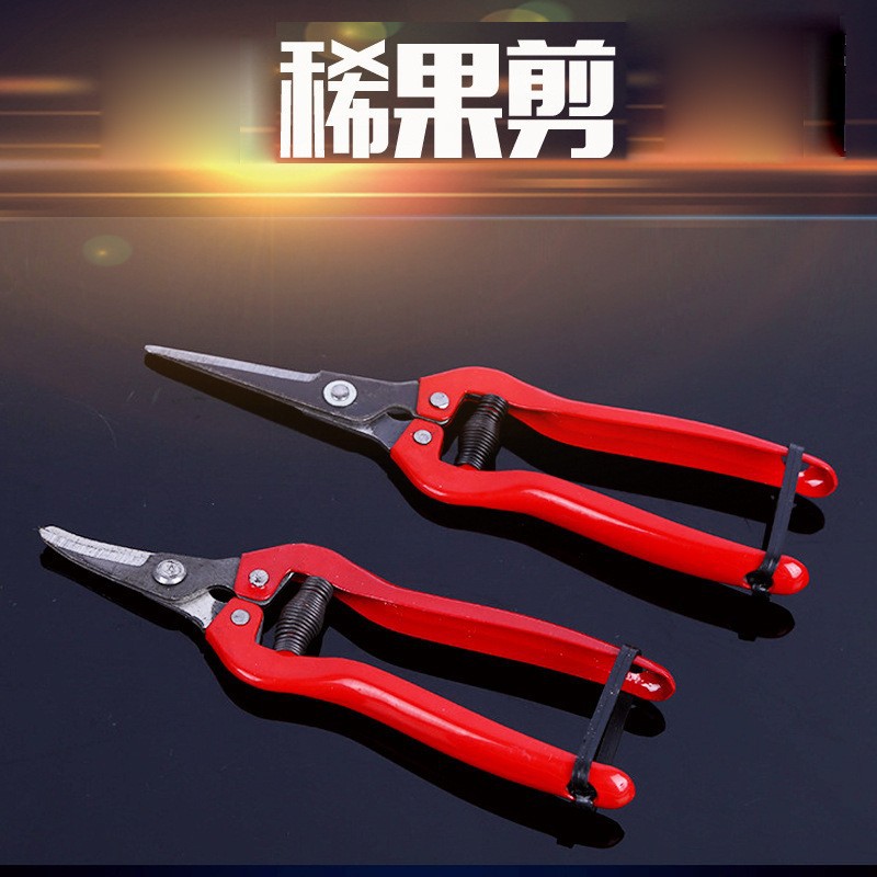 五金园林园艺果树修枝剪水果桔子蔬菜采摘葡萄采果剪摘果剪稀果剪