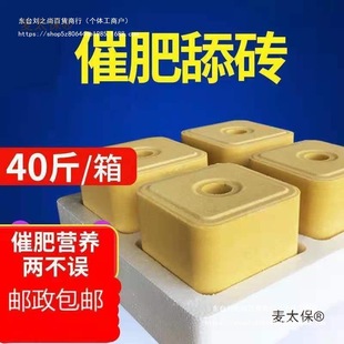 ţ����u�����}�uţ����u΢��Ԫ�ؠI�B�}�K���������ţ��