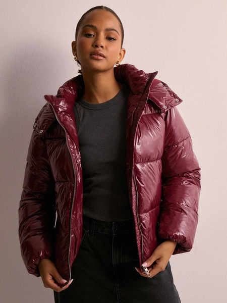 winter solid color elite down jacket for leisure with hood
