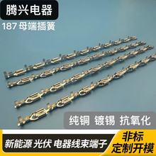 187母端带锁端子 4.8插簧接线端 187双管母端子187端子连接器