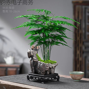 ���ܾGֲ�����辰�����҃ȿ͏d�k������ؔ���B�ļ��Ї��L����ֲ��