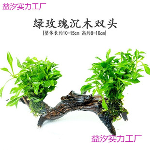 Sunken Wood Water Lazy Novice Fish Tank Landscaping Freshwater Plant Water Banyan Aquarium Oxygenated Underwater Decoration