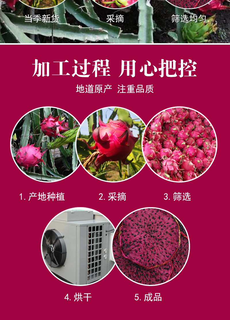 Red Dragon Fruit Slices (Hylocereus polyrhizus) — Dried Fruit Tea, Cold-Brew & Loose Leaf preparation