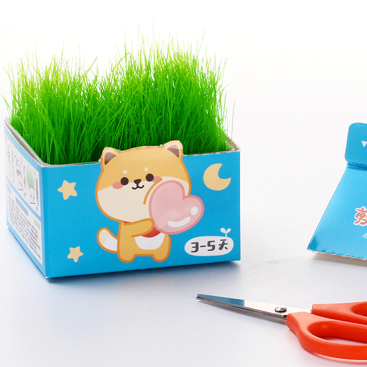 ֲֲֽлħ 칫ֲ  ֲ