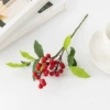 Grapefront Red Fruit