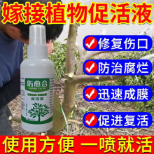 果树嫁接愈合剂促活液树木伤口移植修复嫁接伤口盆栽花卉切口愈合
