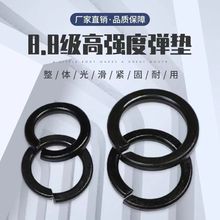 8.8ߏȏ|ɉ|Ƭɉ|Ȧ|Ƭُ|Ȧ