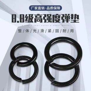 8.8ߏȏ|ɉ|Ƭɉ|Ȧ|Ƭُ|Ȧ