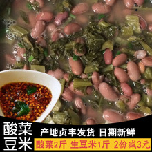 贵州特产农家自制万蕊无食盐酸菜鱼的酸菜豆米火锅汤开胃调味