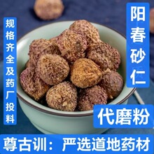 中药材 进口砂仁 砂仁粉 壳砂仁 阳春砂仁 支持药检 代磨粉