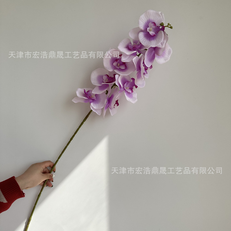 微信图片_202303031341505_副本