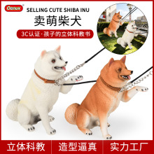 仿真实心动物模型玩具日本叛逆卖萌柴犬宠物狗狗儿童认知桌面摆件