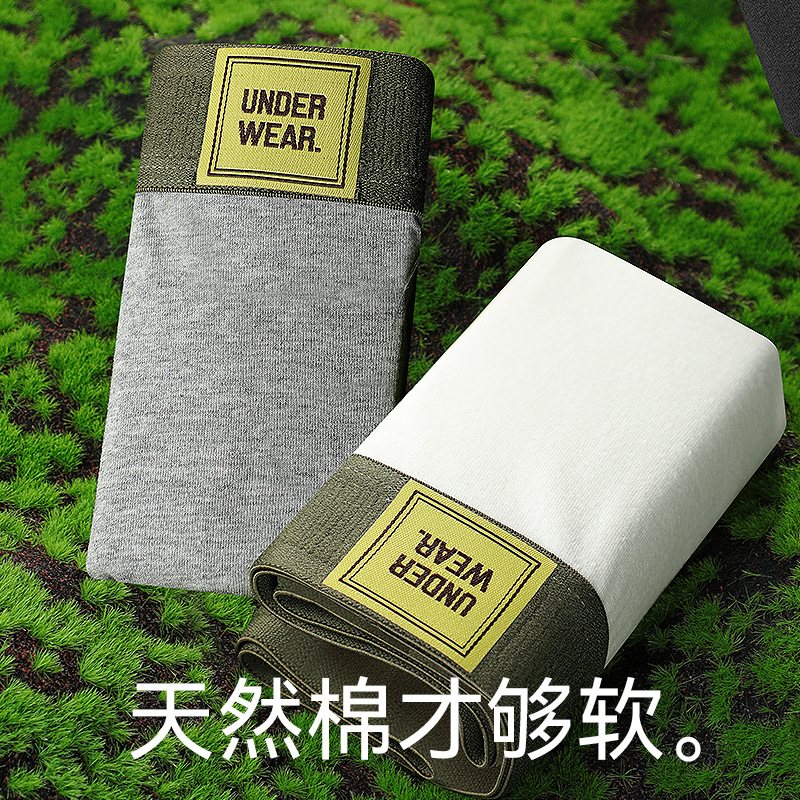 Pantalones interiores de hombre nuevo algodón de otoño sencillo transpirable 10A antibacterianos pantalones de cintura media adultos pantalones cortos