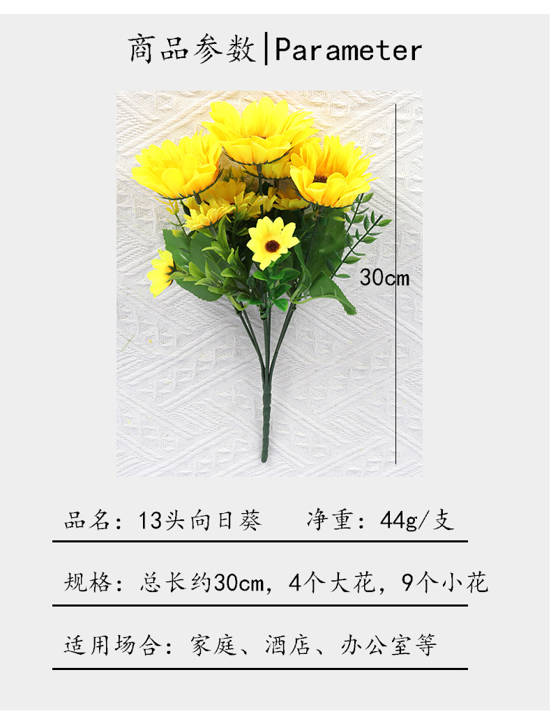 13头向日葵_02.jpg