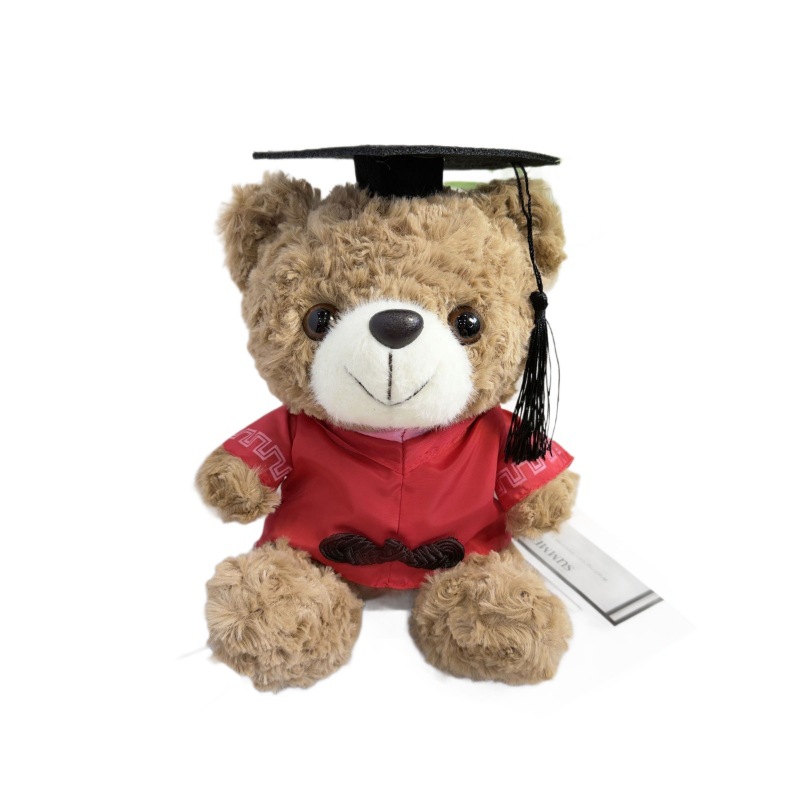 Doctor sombrero oso Teddy Teddy
