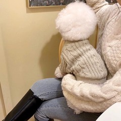 秋冬犬カジュアルシンプル純色麻花セーター中小型犬保温猫両足ペット犬服