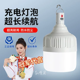 LED球泡灯;吸顶灯;节能灯