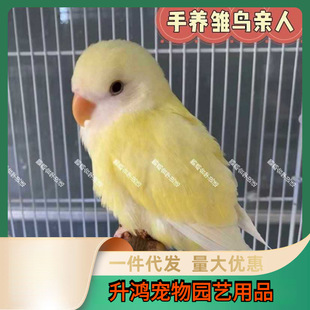 ���Bĵ���W�^���B�r�B�����B�W�^���P��Ƥ�fԒ���W�^�H��