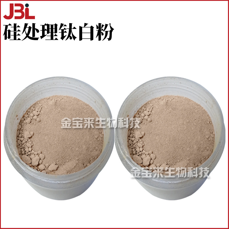 亲油性硅处理钛白粉 肤色 护肤 化妆品原料 1kg