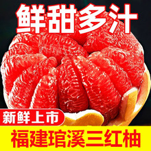 『福建琯溪三红柚/红心柚子』精选琯溪坂仔镇蜜柚新鲜当季红柚子