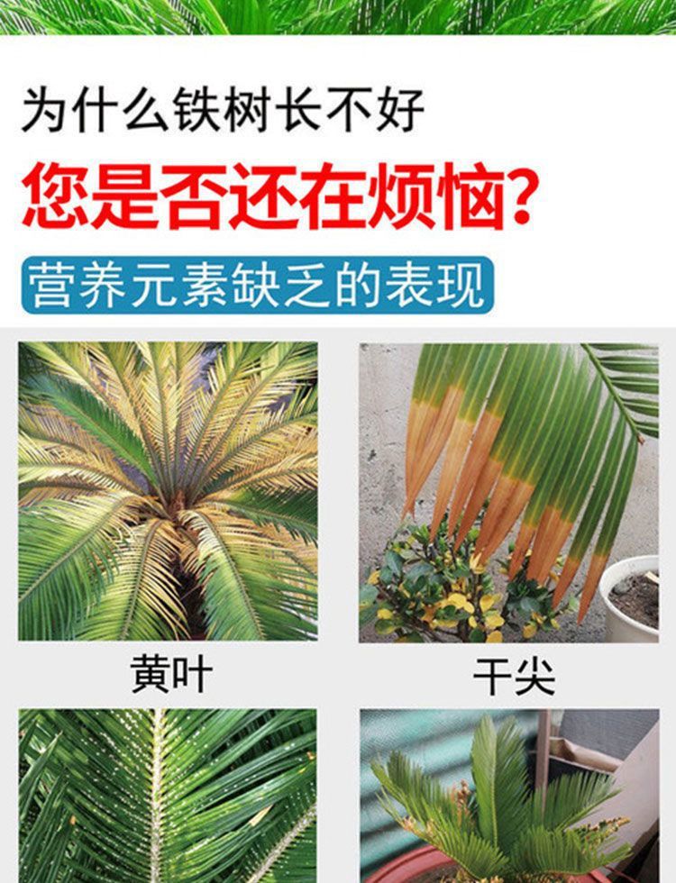 6edbcdab-36df-4ed8-af2f-5ef0fe7b247b.jpe