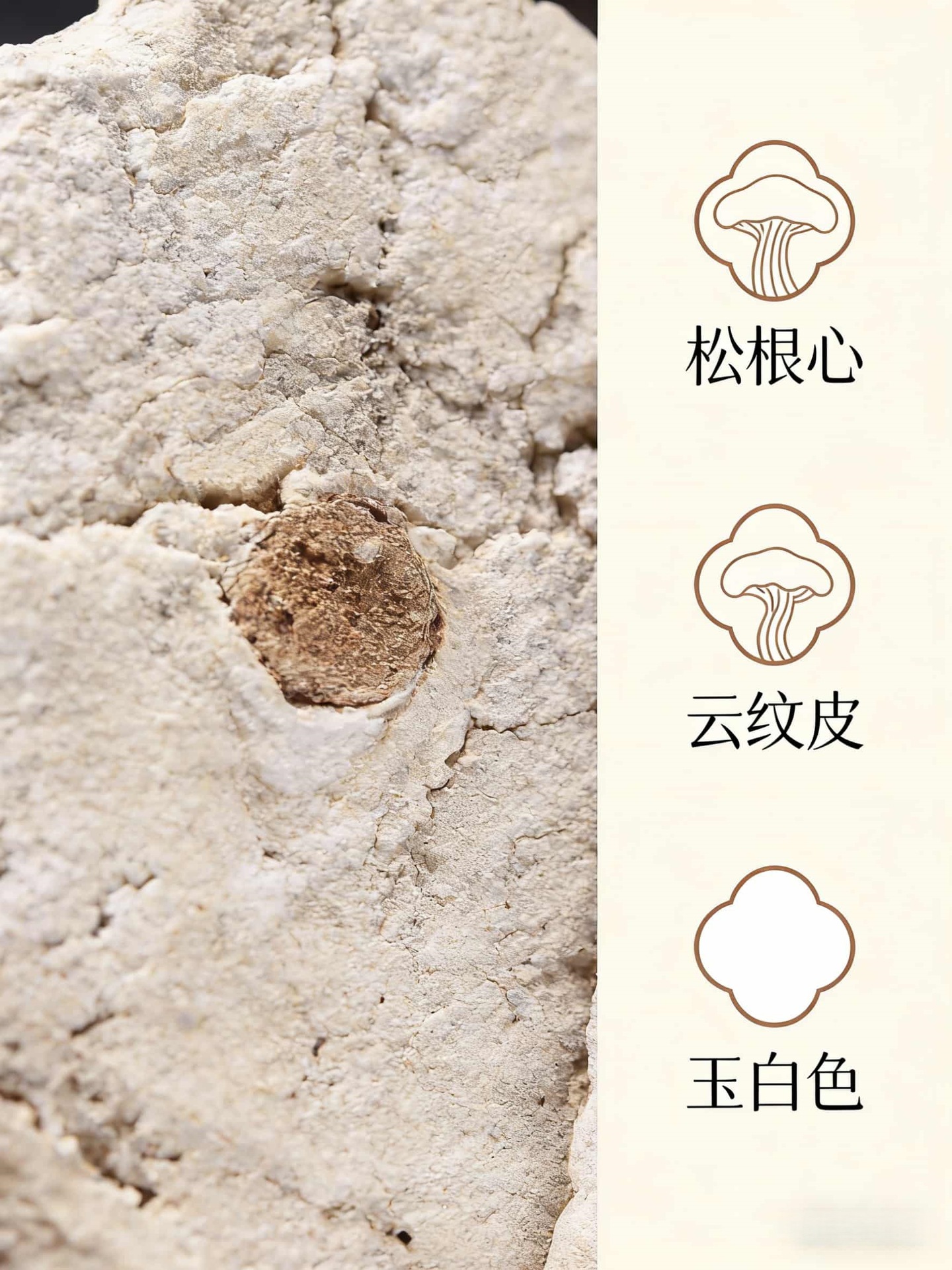 Fu Shen Dried Poria Slices Wholesale Sulfur-Free Hubei Origin Herbal Tea and Culinary Ingredient 500g Bulk quality and texture