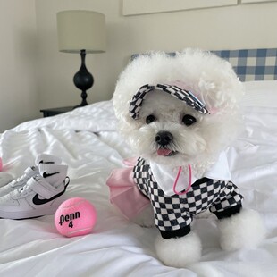Spot INS Style Autumn and Winter Korean Tennis Prince Series Hat Contrast Color Checkerboard Skirt T-shirt Dog Warm