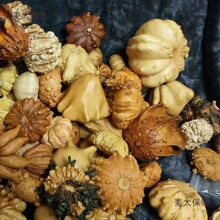 ���J�Ѷ�������ī�����J�w�Ϲ��߲��w������������̫��