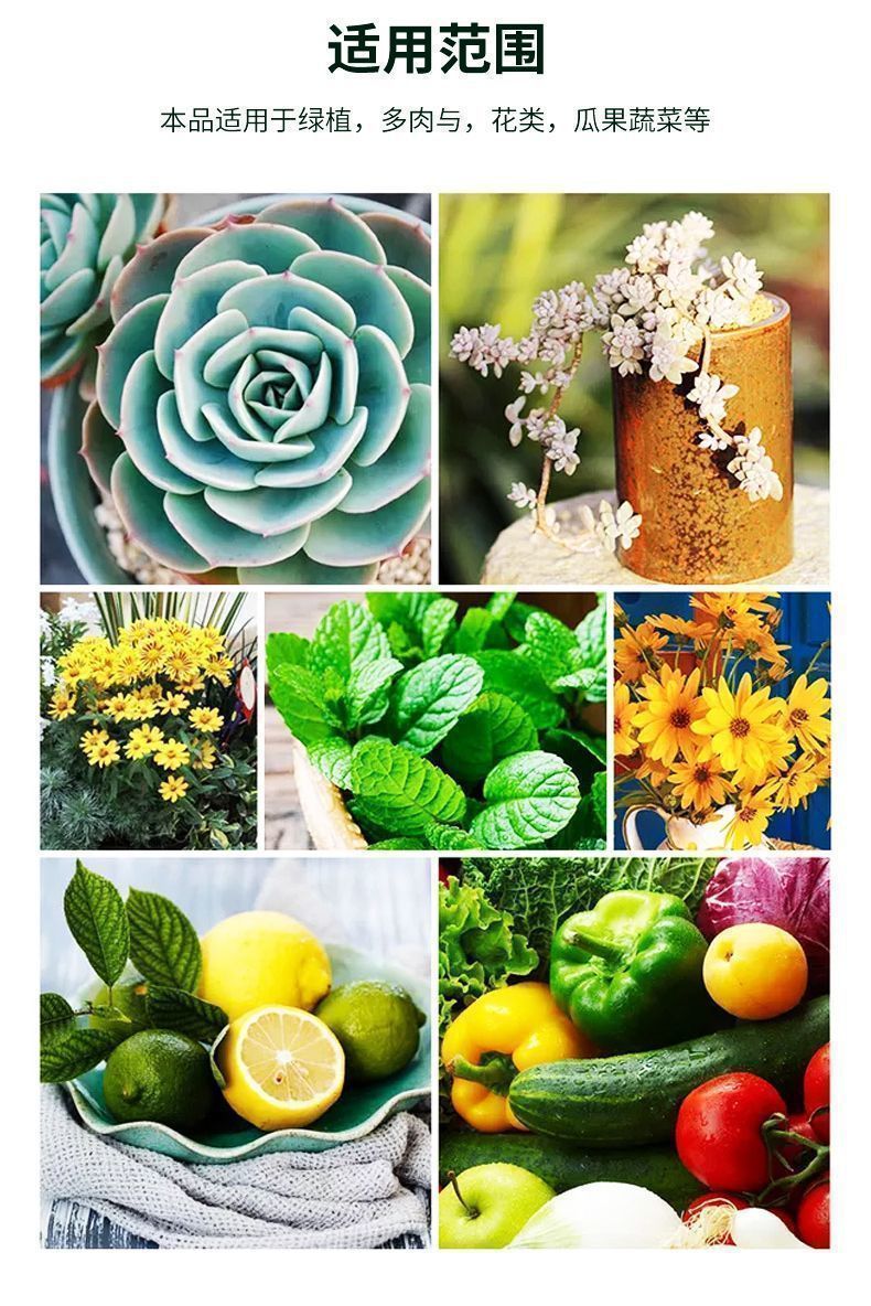 0dbd0b38-d9a5-4fa9-8afd-c8dc9b4c2b7f.jpe