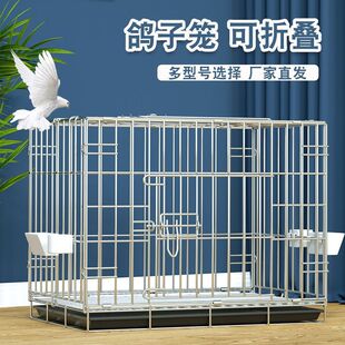 ���ӻ\�B�\���Bֳ�\��ֳ�\�����\�^�p���\���B�\800�������ۯB�\