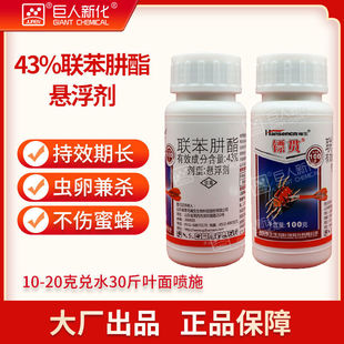 43%�������O����t֩�뚢�Ѱ�ȫ�rș���\�����x��  ����S؞