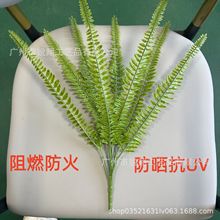 ��ȼ�����F��ާֲ������B����˹�ݾGֲ�b���������⾀UV