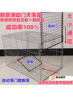 ̤��\�Ԅӻ����T���ӻ\���ÙC�P�ռ{�\�����Bֳ�\��������\����