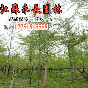 ���깩���y�Ә� �G����ľ�е��c�Y�ļ����������՚� �y�Ә��繤��