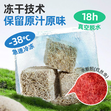 �tС���~��ϟᎧ�~�����R�~�N�K���x�~ʳ��ȸ�~ճ�N�����~�Zˮ