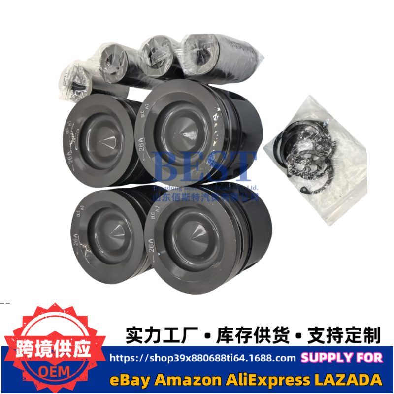 234102F970 Is Suitable for D4Hb2.2Nwe Piston with Pin 234102F980 234102F995