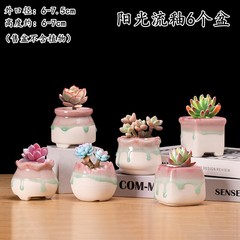 多肉の植木鉢のコントロール型の氷裂流の釉薬の桃の卵の素の白地の陶磁器のシンプルなアイデアの緑は氷の心の小さい植木鉢を植えます。