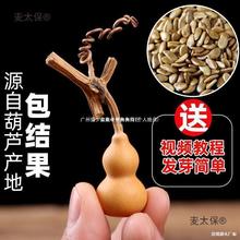 ���J��С���J�N�������������ˌ���ȫ�����^�p�ش�̖���ͺ���̫��