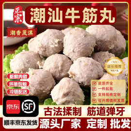 潮汕牛筋丸特产火锅食材牛筋丸子烧烤麻辣烫铁板烧食品肉丸