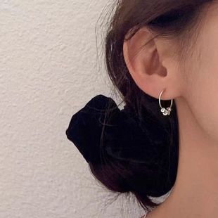 925 Silver Pin Broken Silver Earrings Niche Light Luxury Women's Earrings 2025 New Explosions High-end Earrings