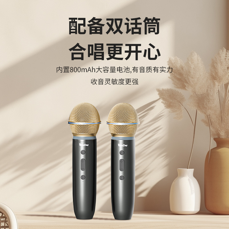 Huan Da D17 スタンドホーム Bluetooth カラオケ木製レザーオーディオホームワイヤレスマイクサブウーファースピーカー|undefined