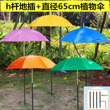 65cm直径植物伞花盆遮阳伞户外盆景盆栽防晒防雨伞银胶隔热地插伞
