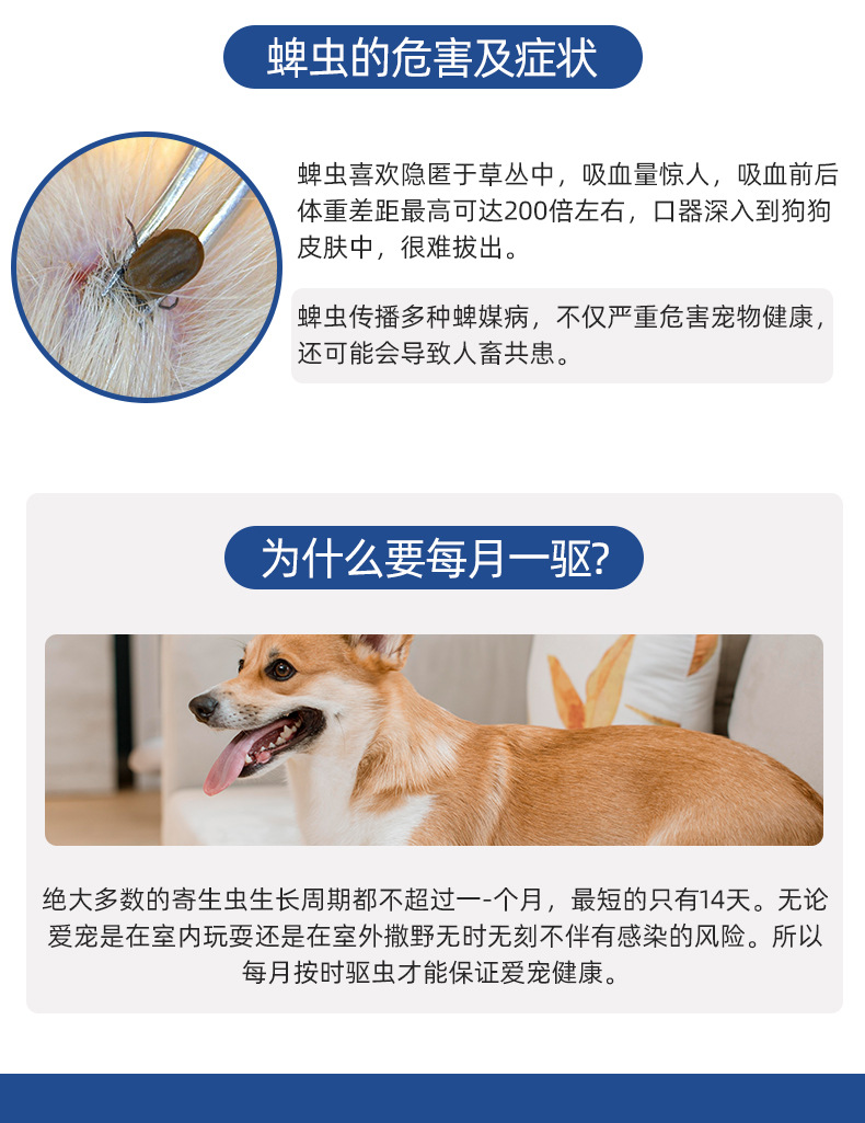 非泼罗泥滴剂2_09