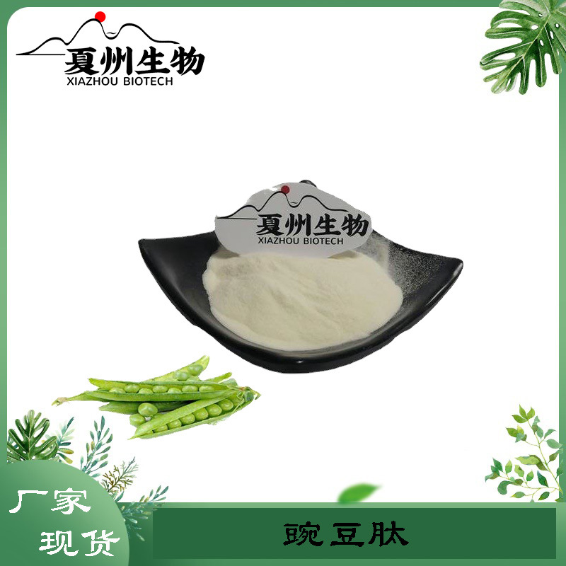 豌豆肽 豌豆提取物 豌豆小分子蛋白低聚多肽粉  豌豆多肽