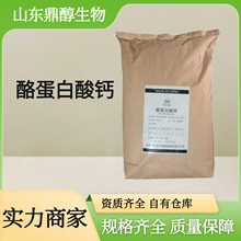 酪蛋白酸钙 食品级营养强化剂 补充钙元素 规格齐全 现货