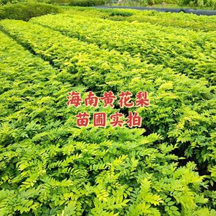 ���Ϙ��罵���S̴�����F����Gֲ�䎧�����~