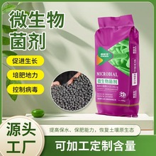 �����ЙC�ʸ���΢�������΢����������|����ș��׷�������Ѹ�