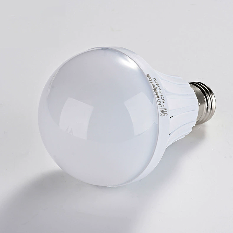 LED lights, switch key, lamp holder, bulb for experiments