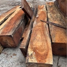 �t�sľ�� Ӳ�sľ �|ľ ��ľ ��NҎ�� ���~���� ��������� ľ��